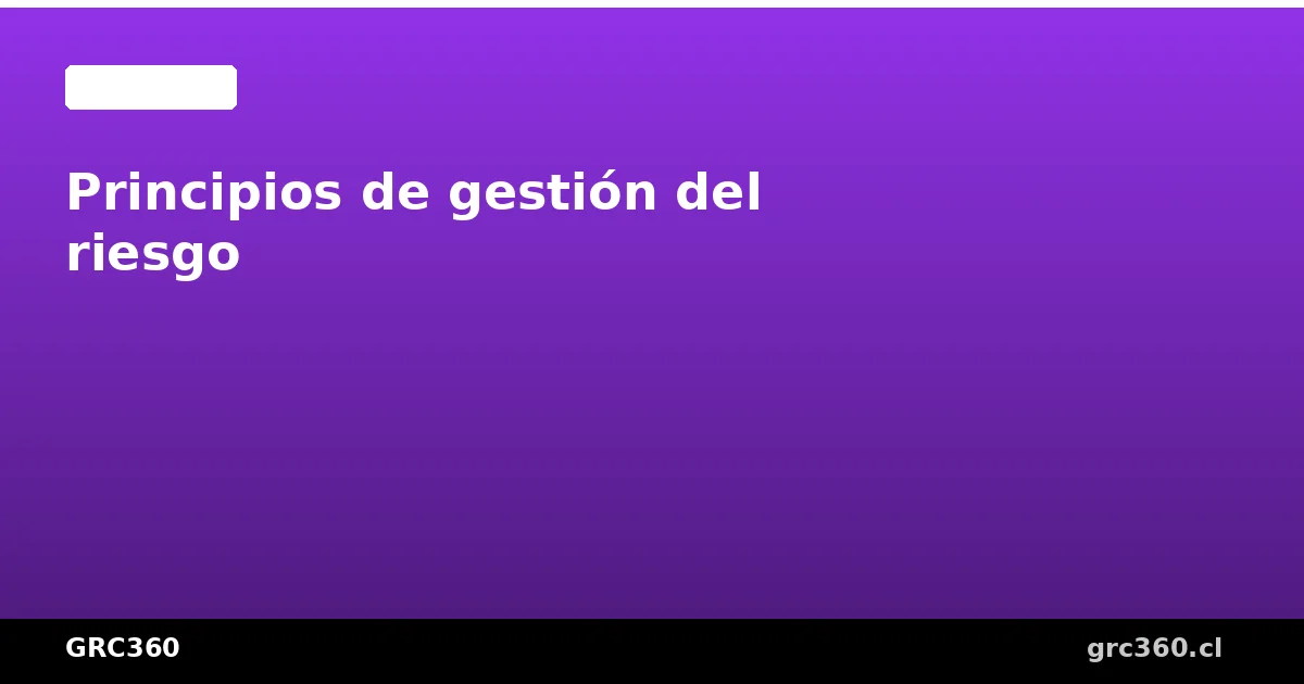 Principios de gestión del riesgo ISO 31000